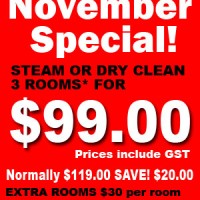 adelaide carpet cleaning special