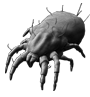 dust mite allergy control